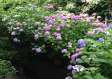 423c1a40-520b-4198-8026-c75d38ad1d31.png