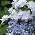 6d3c0503-41ed-46d3-bb43-3b35f6bcd831.png