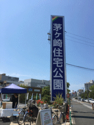 IMG_0054.gif
