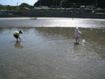 IMG_0721.gif