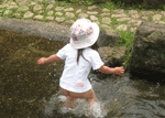 IMG_0873.gif