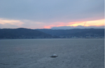 IMG_2574.jpg