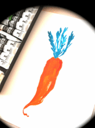 IMG_2960.gif