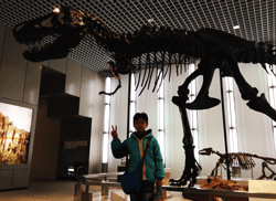 IMG_3272.gif