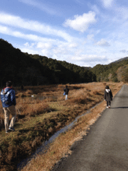 IMG_3306.gif
