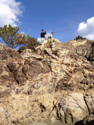 IMG_3316.gif