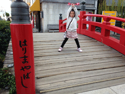 IMG_3325.gif