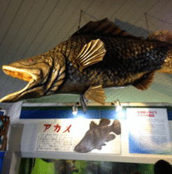 IMG_3352.gif