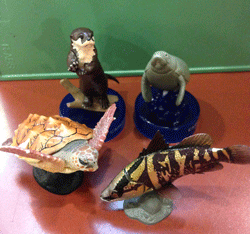 IMG_3365.gif