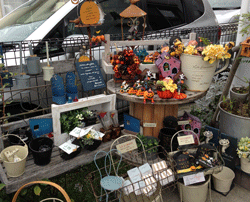 IMG_4748.gif