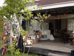 IMG_4754.gif