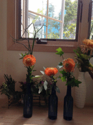 IMG_4761.gif