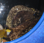 IMG_5475.jpg