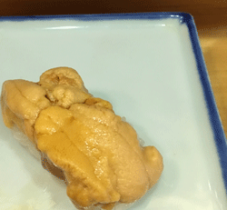 IMG_8261.gif