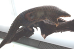 PC311850.jpg